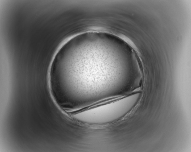 X0000098091440200804110954
