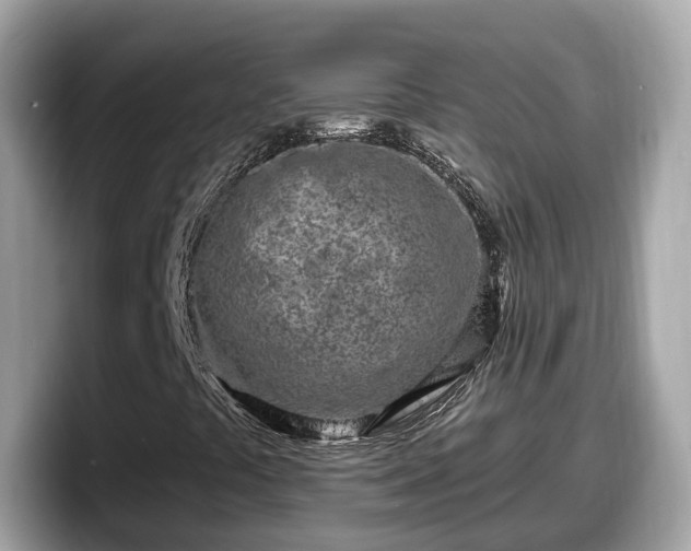 X0000098091441200804110953