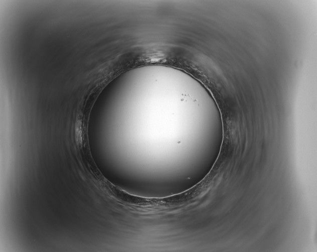X0000098091442200804110953