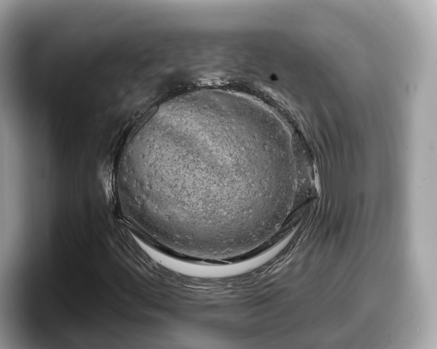 X0000098091444200804110953