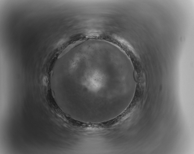 X0000098091445200804110953