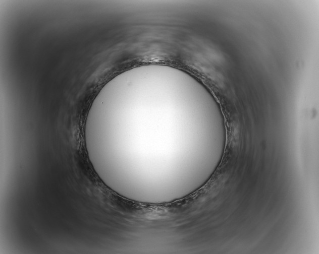 X0000098091446200804110953