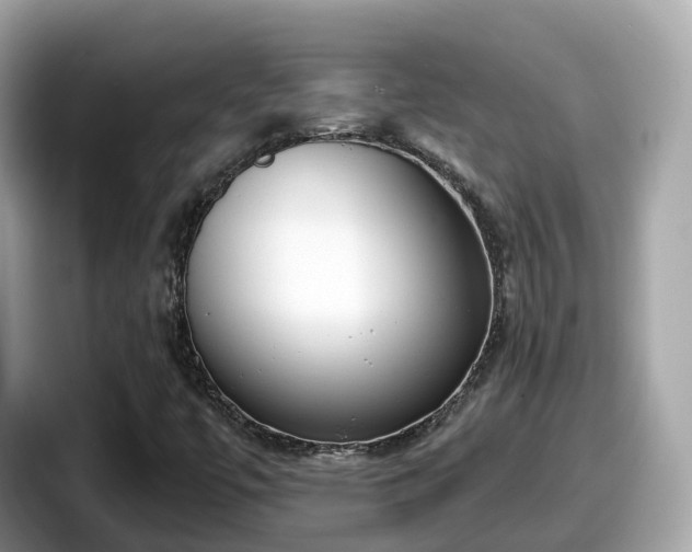 X0000098091447200804110953