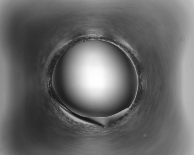 X0000098091448200804110953