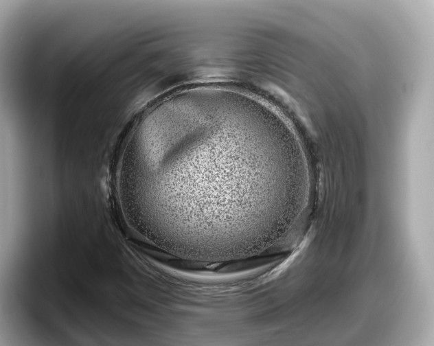 X0000098091449200804110953