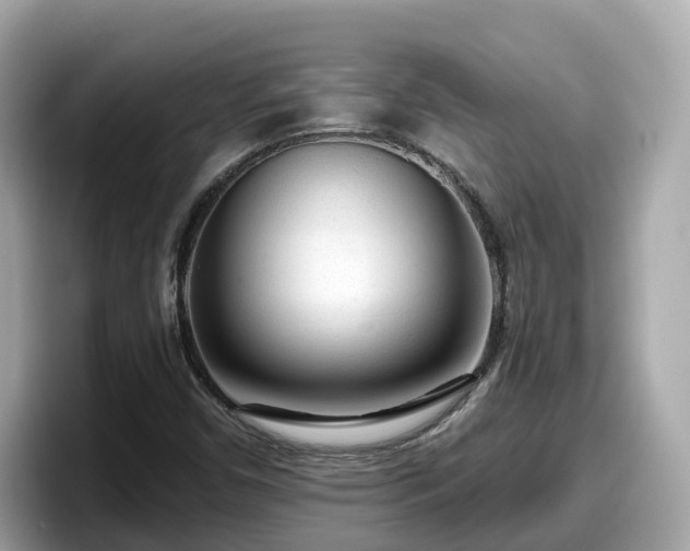 X0000098091450200804110953