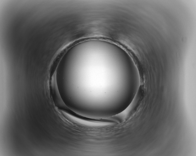 X0000098091452200804110953