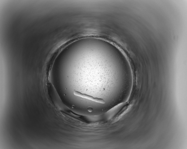 X0000098091453200804110953