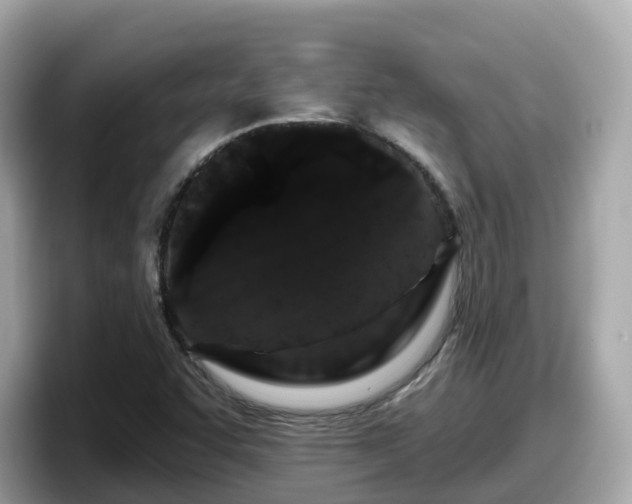 X0000098091455200804110953