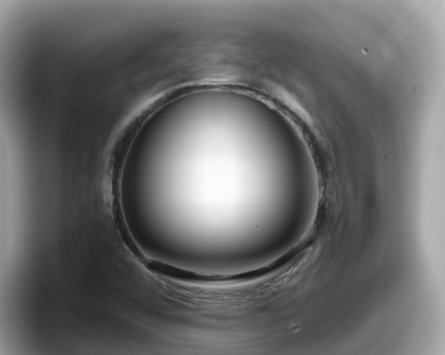 X0000098091456200804110953