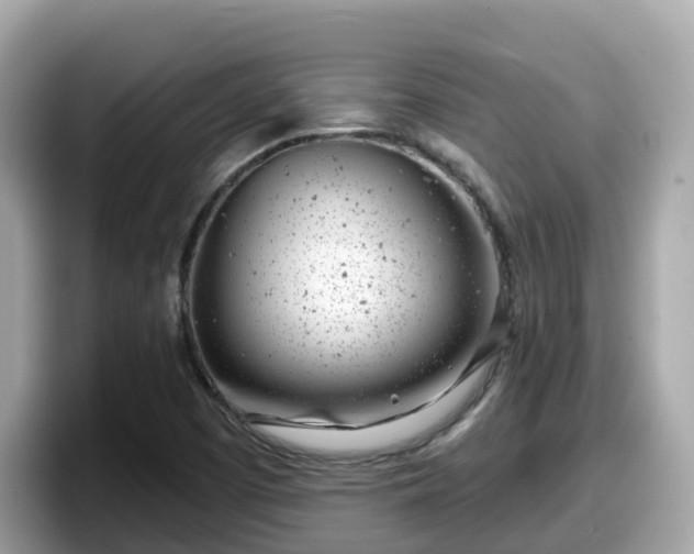 X0000098091457200804110953