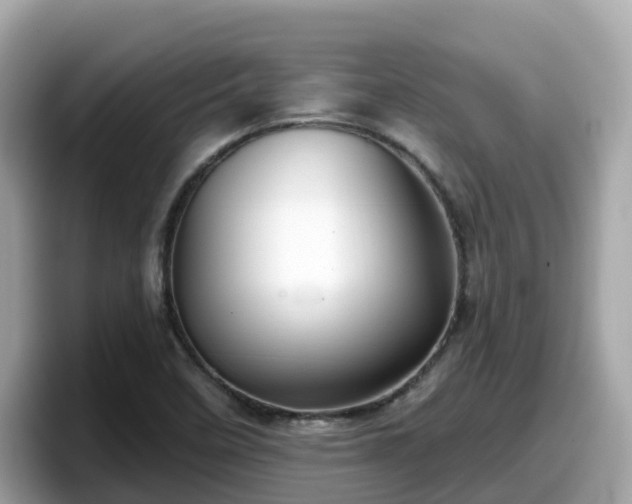 X0000098091458200804110953