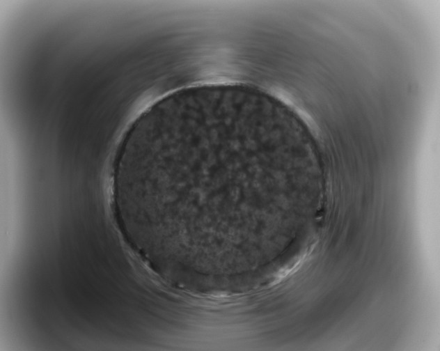 X0000098091459200804110953