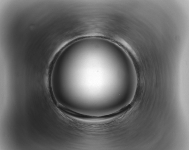 X0000098091460200804110953