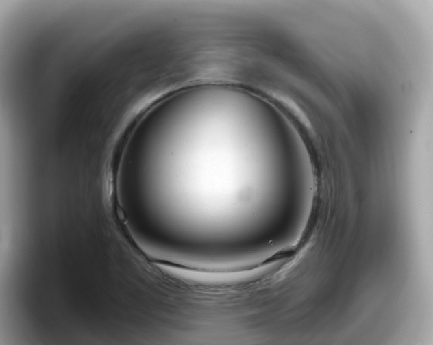 X0000098091461200804110953
