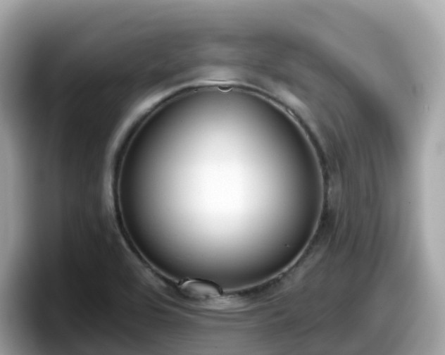 X0000098091464200804110953