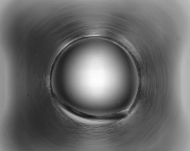 X0000098091465200804110953