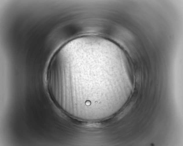 X0000098091466200804110953