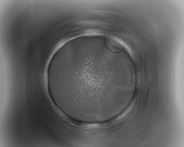 X0000098091467200804110953