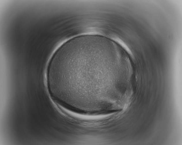 X0000098091468200804110953