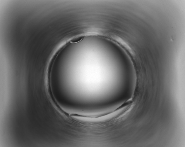 X0000098091469200804110953