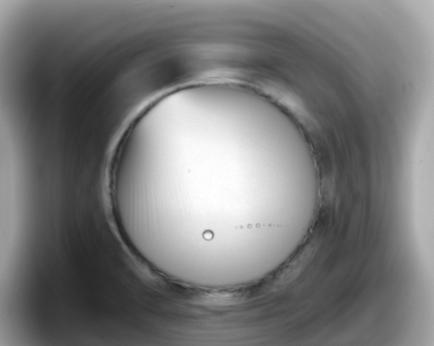 X0000098091470200804110953