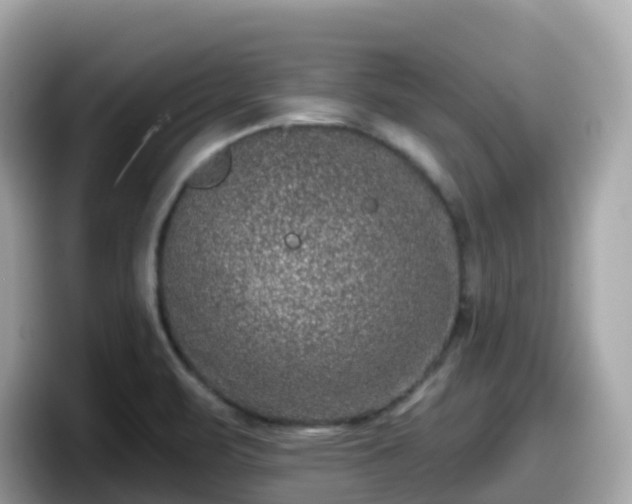 X0000098091471200804110953