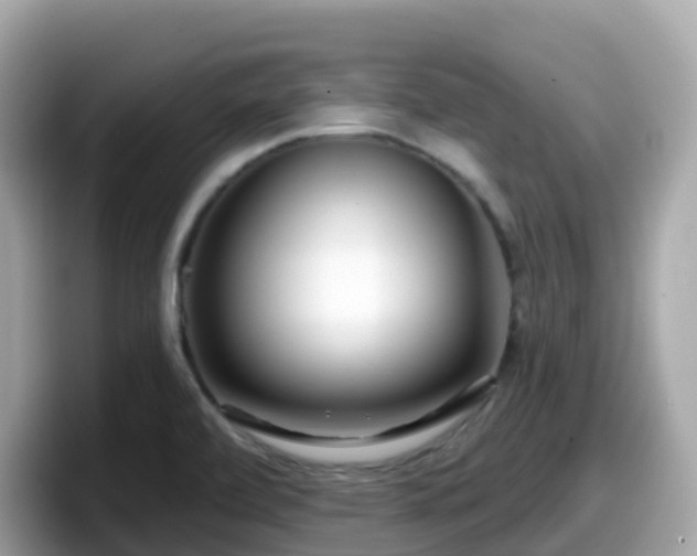 X0000098091472200804110953