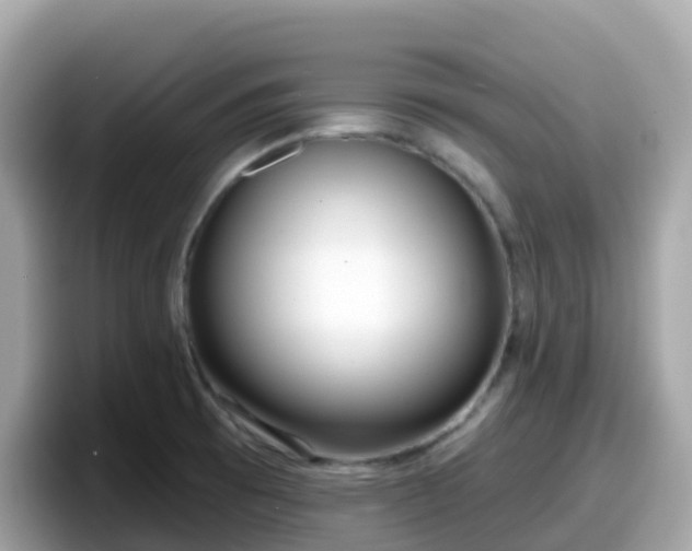 X0000098091473200804110953