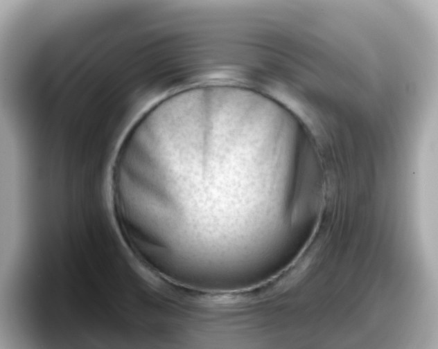 X0000098091474200804110953