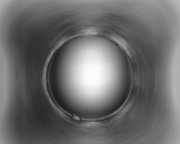 X0000098091475200804110953