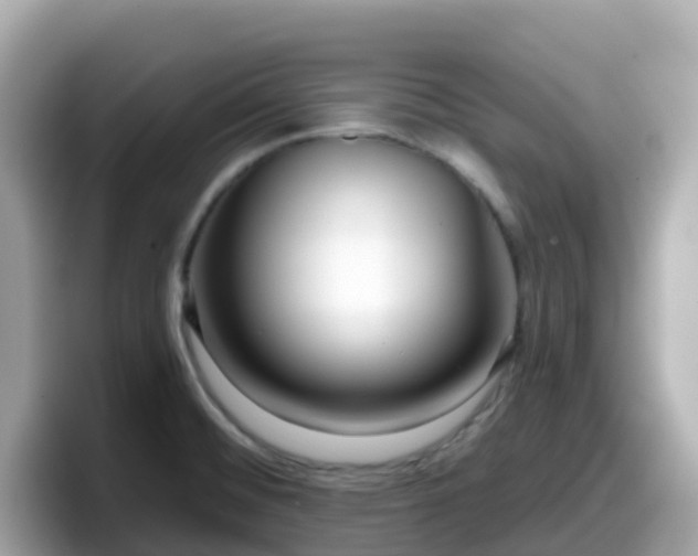 X0000098091476200804110953