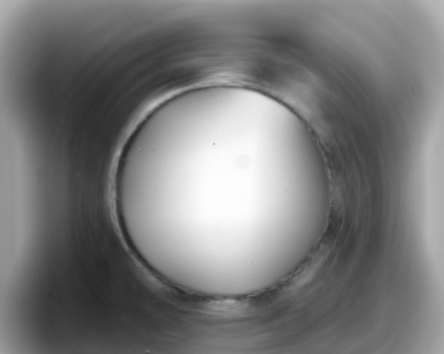 X0000098091478200804110953