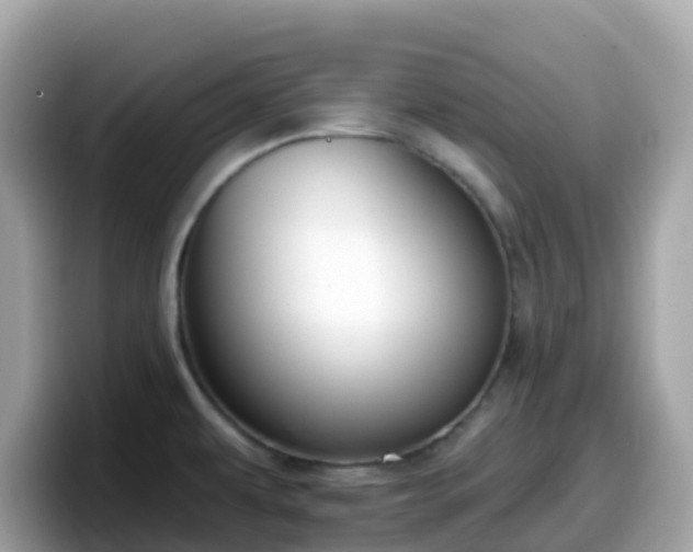 X0000098091479200804110952