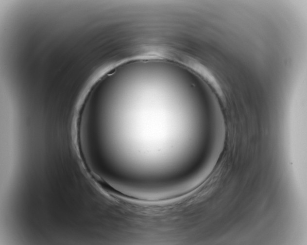 X0000098091480200804110952