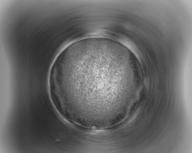 X0000098091482200804110952