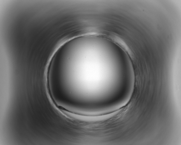 X0000098091483200804110952