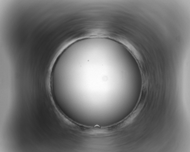 X0000098091486200804110952