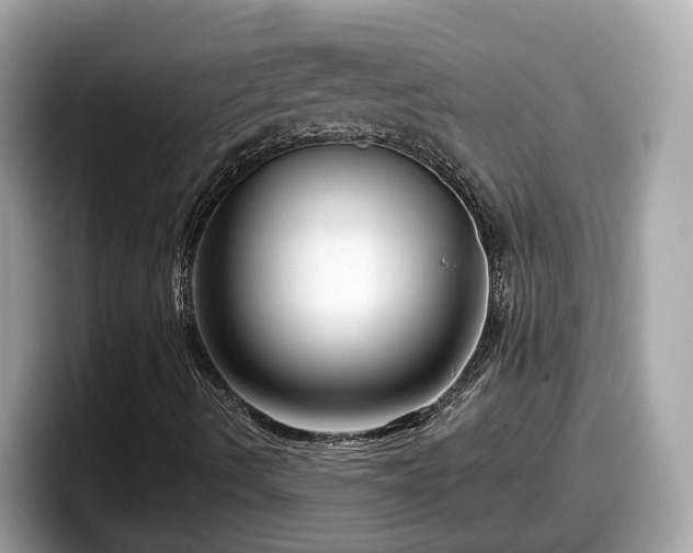 X0000098091490200804110952