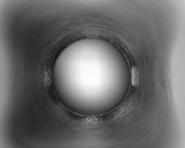 X0000098091491200804110952