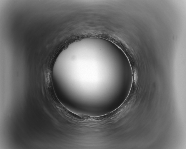 X0000098091492200804110952