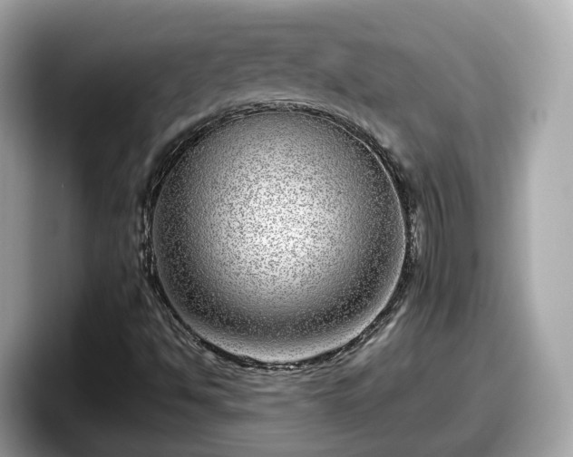 X0000098091494200804110952