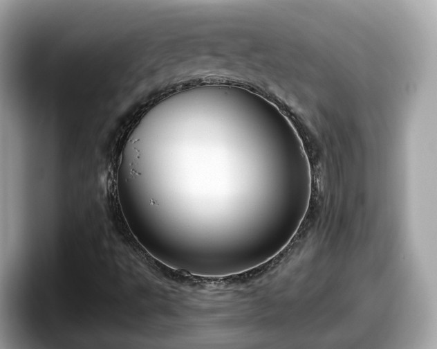 X0000098091495200804110952