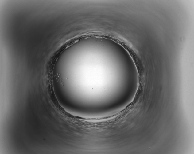 X0000098091496200804110952