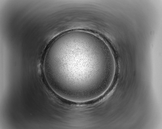 X0000098091497200804110952