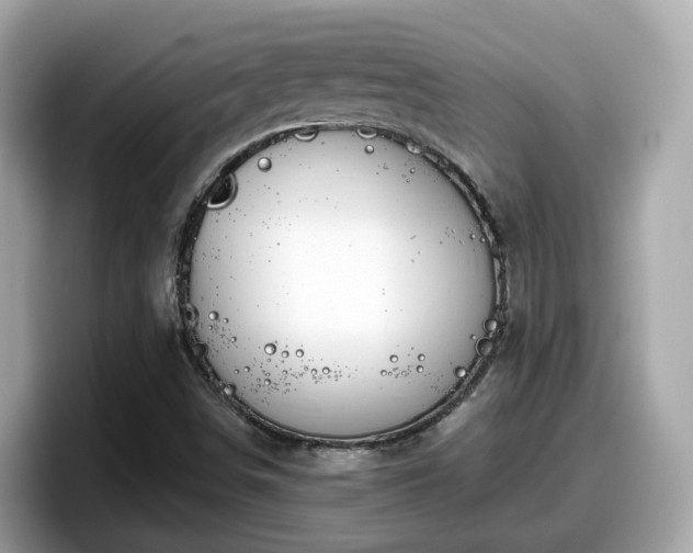 X0000098091498200804110952