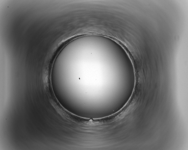 X0000098091499200804110952