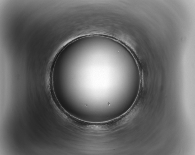 X0000098091500200804110952
