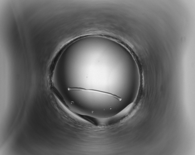 X0000098091501200804110952