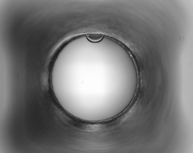 X0000098091502200804110952